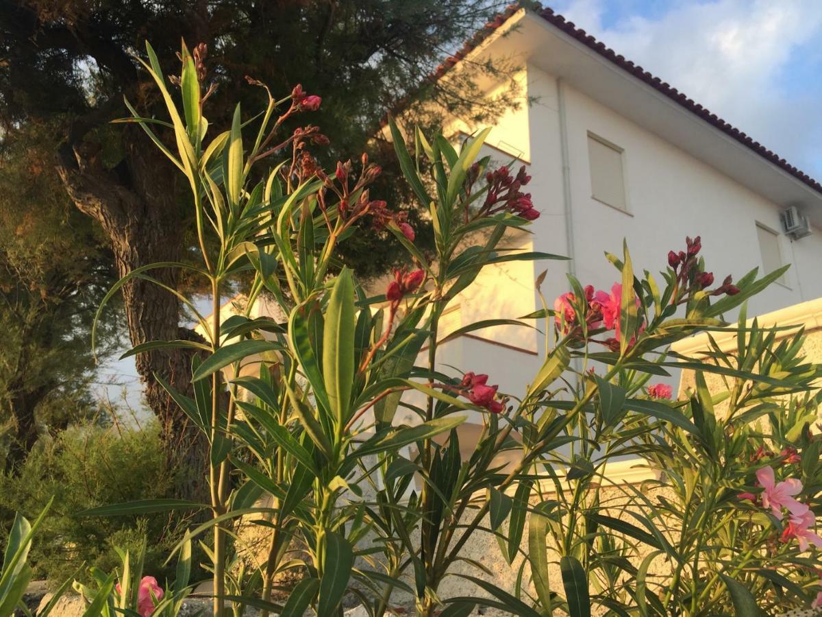 Rivamare Campora Casa Vacanze Campora San Giovanni Extérieur photo